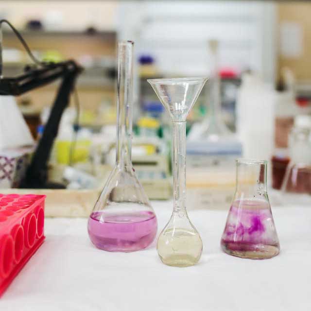 Laboratory glassware holding coloured fluid samples